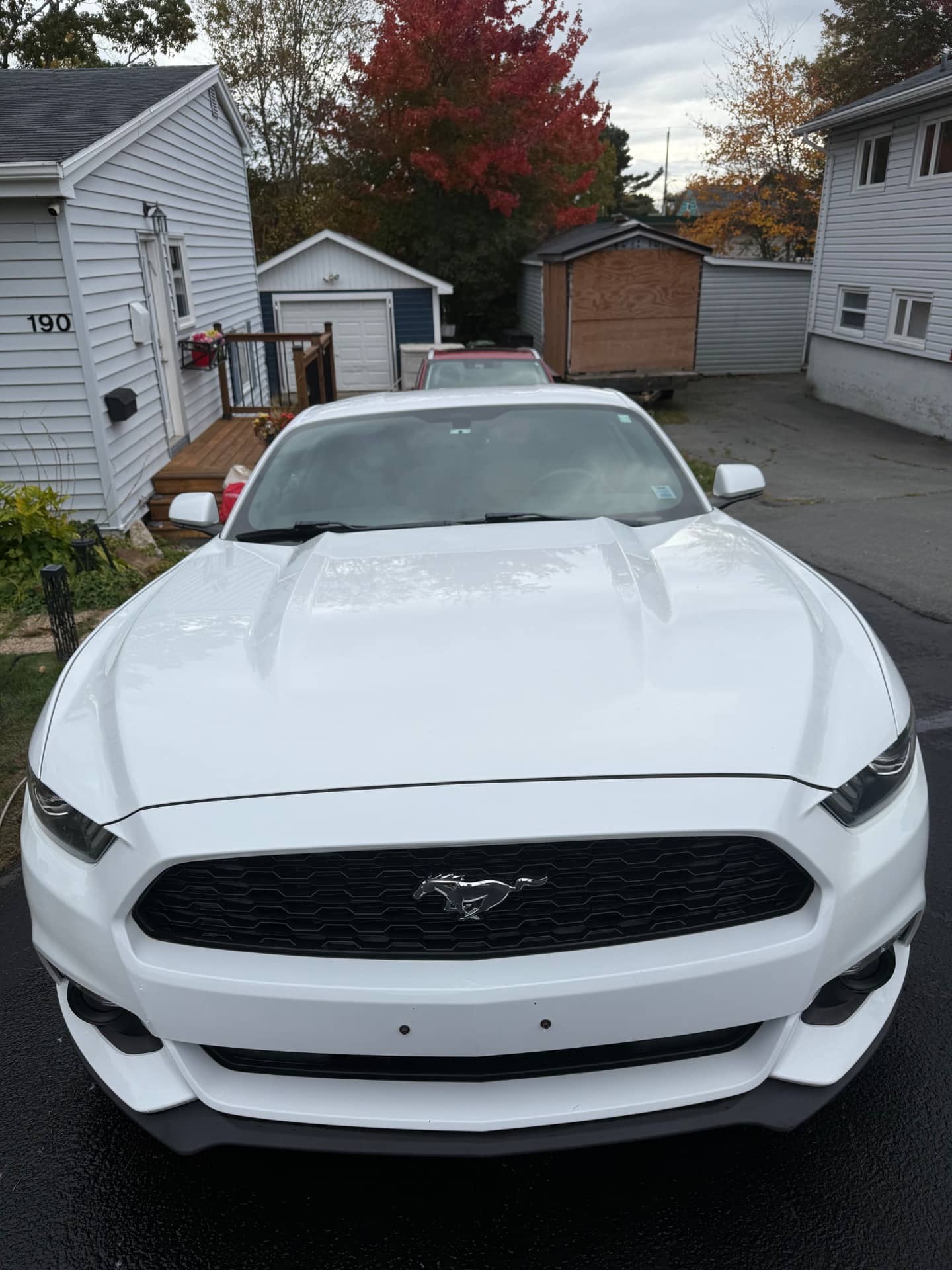 Exterior detailing result