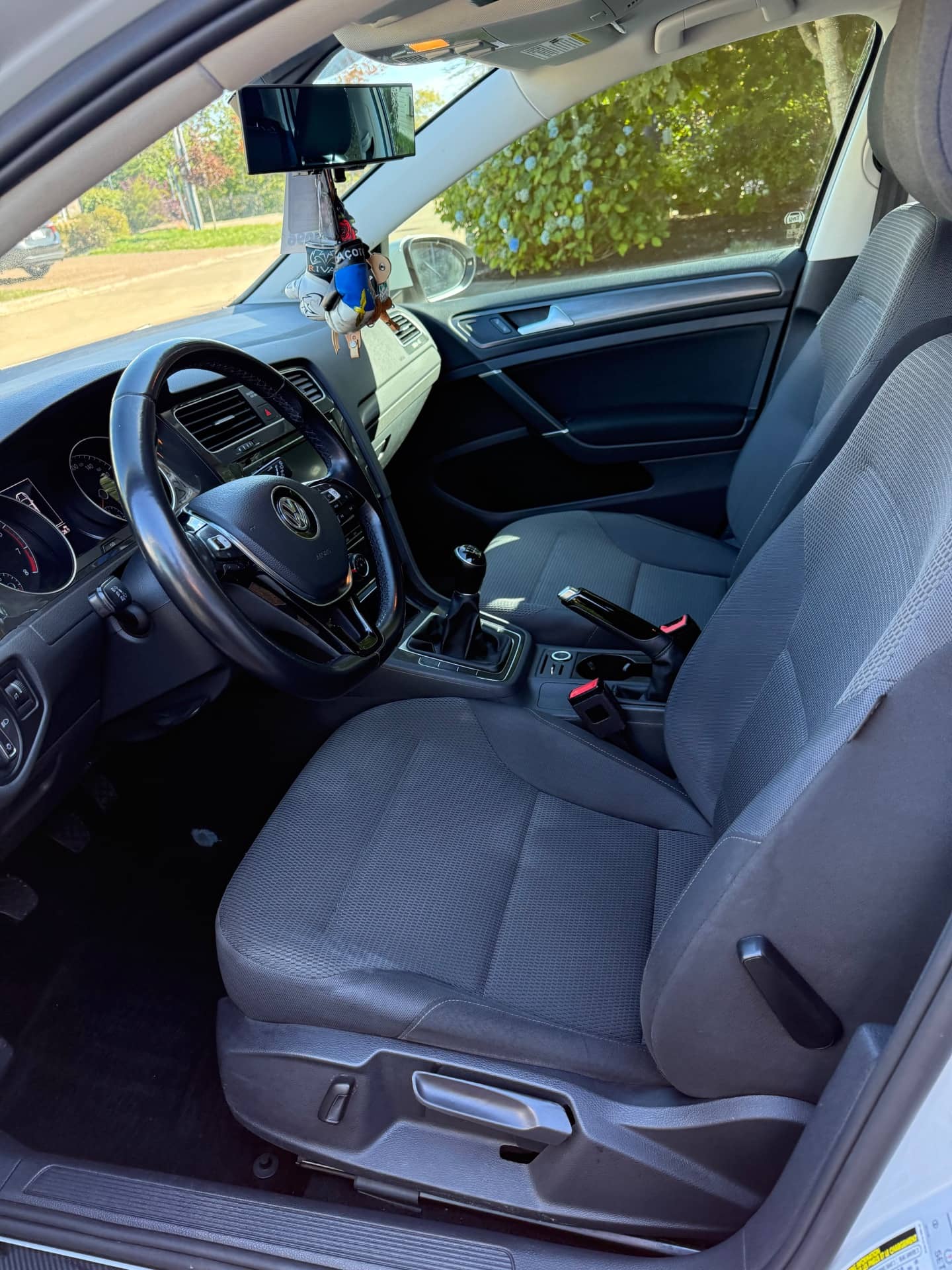 Interior detailing result