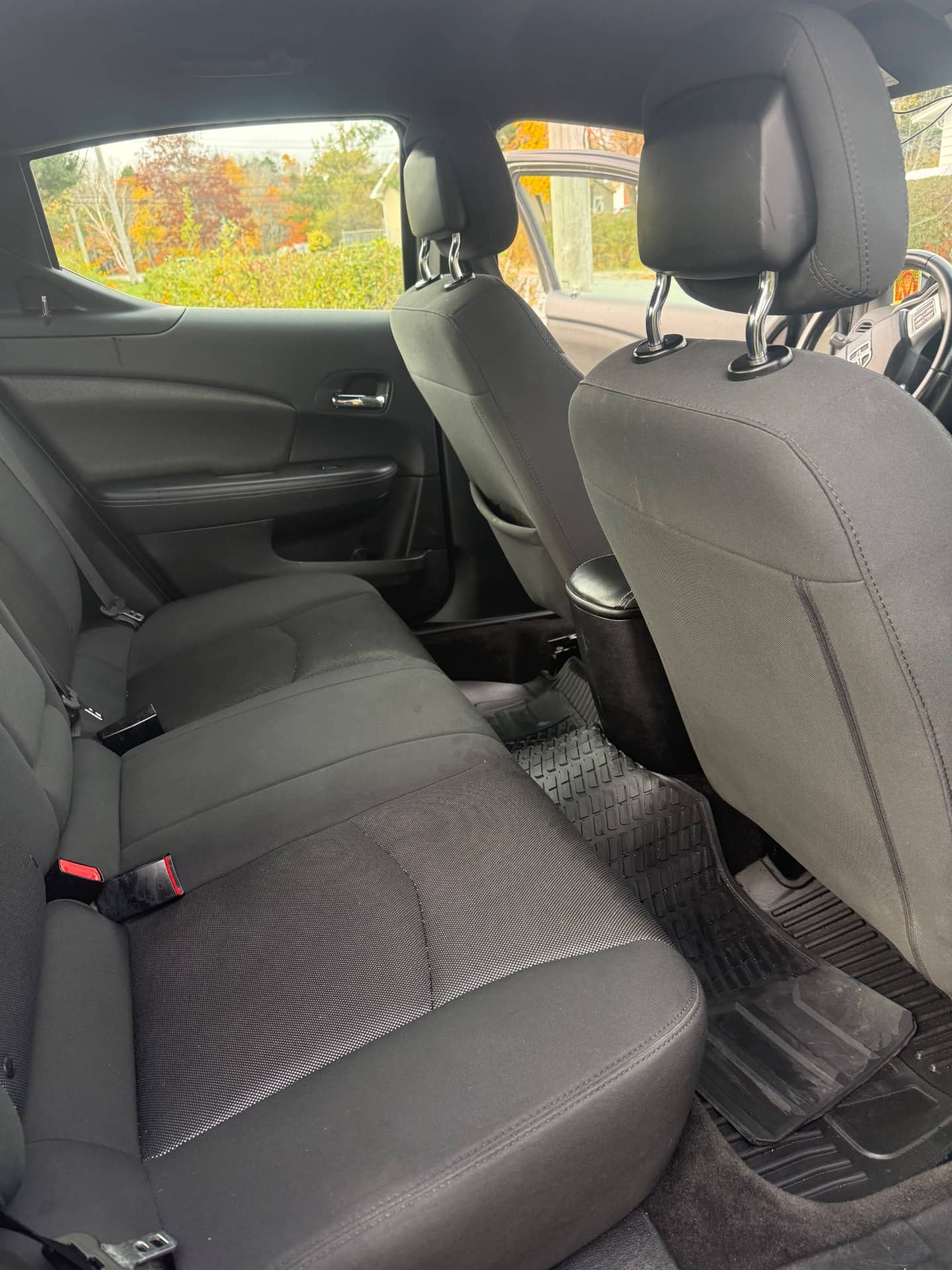 Interior detailing result