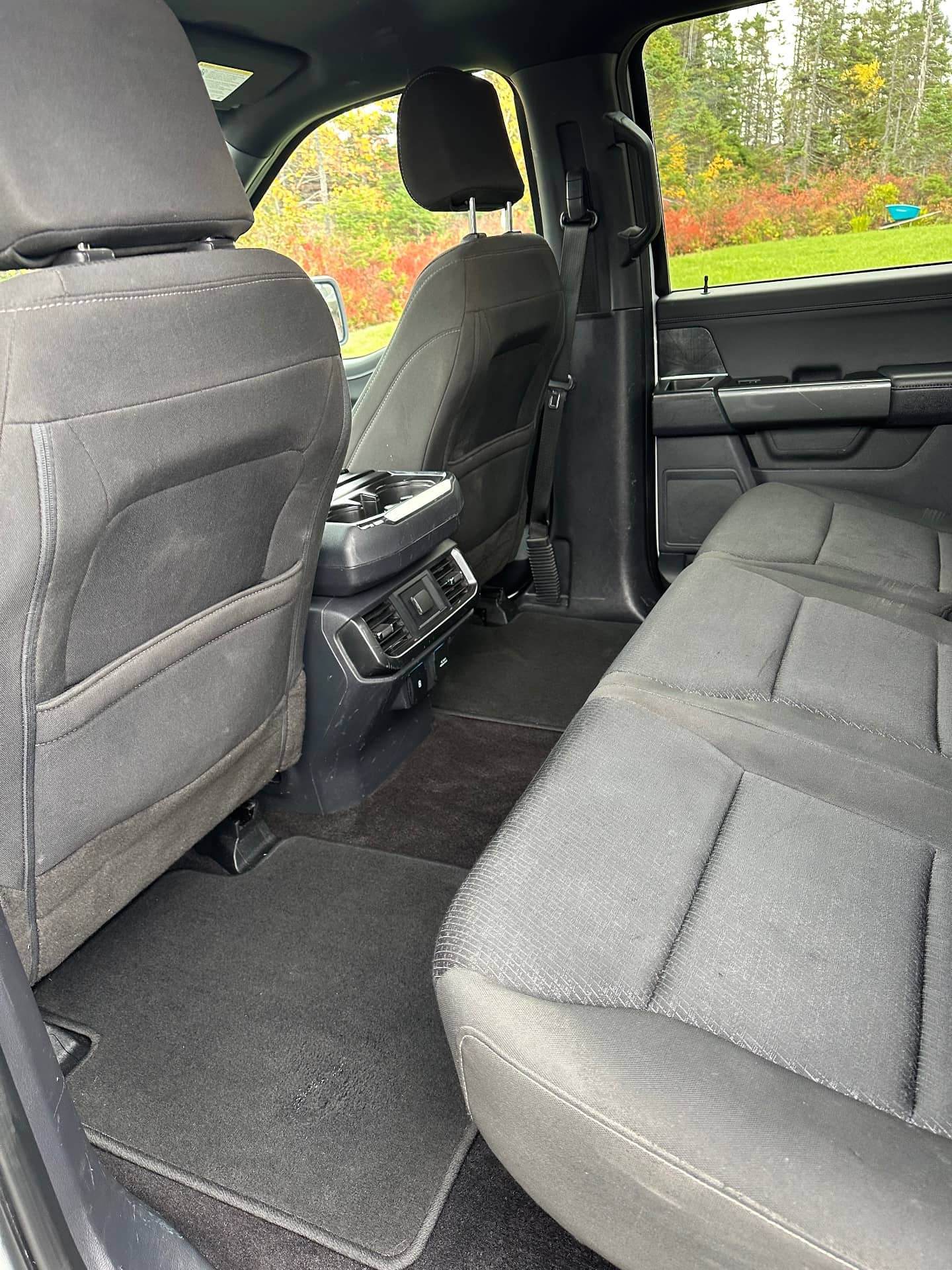 Interior detailing result